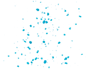 Blue paint water spill splash in shape form. Blue liquid lotion moisturizer cosmetic pour float in mid air. Blue cocktail drink explosion throw fluttering. White background isolated high speed shutter