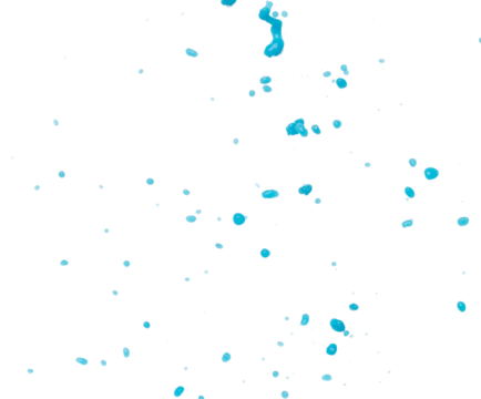 Blue paint water spill splash in shape form. Blue liquid lotion moisturizer cosmetic pour float in mid air. Blue cocktail drink explosion throw fluttering. White background isolated high speed shutter