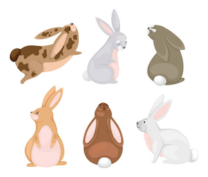 Set of cute rabbits in cartoon style.