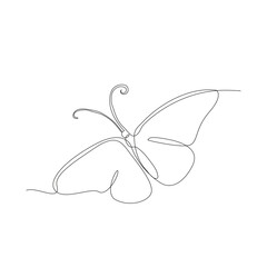 Continuous line art or one line butterfly drawing for vector illustration, insects in spring. flying butterfly concept