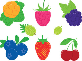Raspberry;  blueberry; strawberry; cherry, and other berries, vector illustration