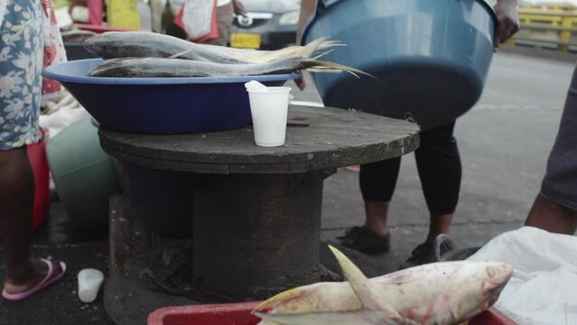 Close up of fishes at street fish market, people selling and buying the catch of the day in Buenaventura. Colombian Pacific coast. 