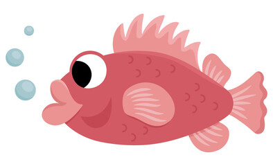 Vector grouper or perch icon. Under the sea illustration with cute funny seabass. Ocean animal clipart. Cartoon underwater or marine clip art for children isolated on white. Redfish picture.