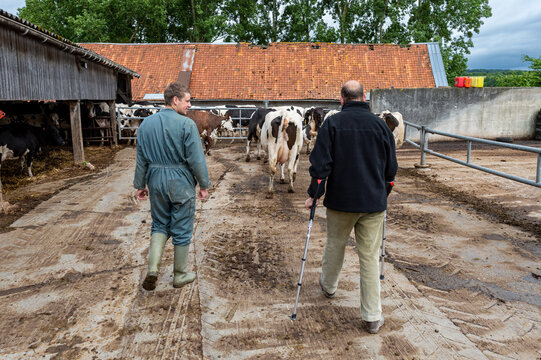 Agriculteur convalescent en b&eacute;quilles suite &agrave; un accident de travail, avec le salari&eacute; de remplacement  dans la cour de ferme. Consignes de travail pour la journ&eacute;e