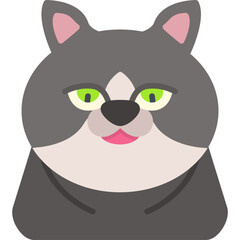 Exotic Shorthair Cat Icon