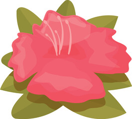 Colorful rhododendron icon cartoon vector. Flower plant. Botany spring