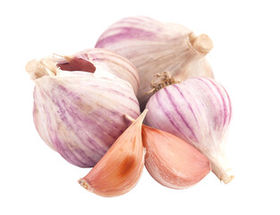 Fresh garlic isolated 