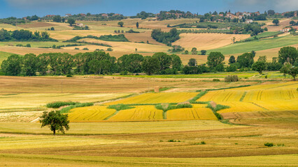 Paysage de campagne au printemps 