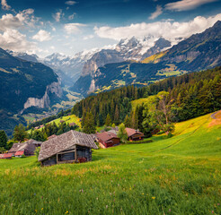 Wengen village in June. Amazing summer scene of Swiss Alps, Bernese Oberland in the canton of Bern, Switzerland, Europe. Beauty of countryside concept background..