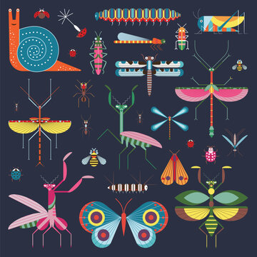 Meadow Insects and Geometric Bugs Icon Set © krugli