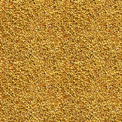 Seamless texture orange scattering of perga background, top view