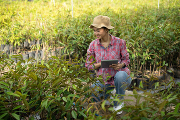 An Asian female farmer uses a pad to collect data on the number of cultivated plants in her...