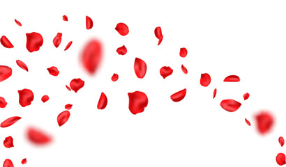 Rose petal on white banner. Red flower flying background. Spring blossom frame. Valentine romantic card. Happy Mother day. Beauty Spa product. Vector illustration