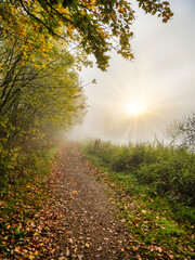 Walking trail and sunrays in the Eltz forest during autumn in Cochem-Zell district, Germany