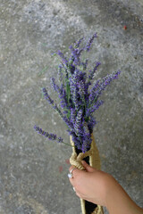 Hand holding wicker bag with picked lavender flowers. Selective focus.