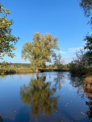 autumn trees reflected in water