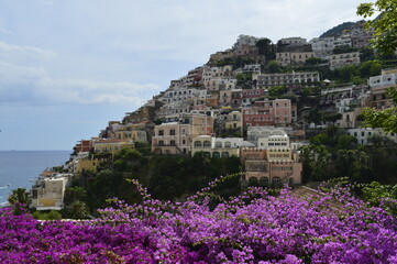 Costa da Ilha de Capri com base de flores roxas