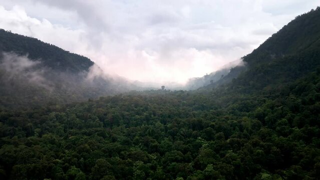 Cinematic Aerial shot of Vast Rainforest Jungle Landscape Background Texture Cloudy Weather in Sumbawa island, Indonesia. Cinematic Drone 4k.