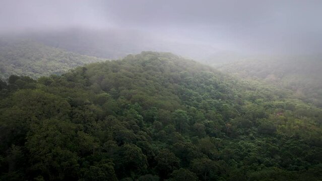 Scenic Aerial view of Vast Rainforest Jungle Landscape Background Texture Cloudy Weather in Sumbawa island, Indonesia. Cinematic Drone 4k.