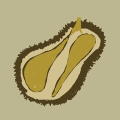 Durian exotic fruits. Background. Summer fruits. Textured handdrawn