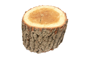 Wooden stump in PNG isolated on transparent background