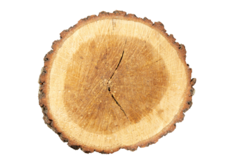 Wooden stump in PNG isolated on transparent background