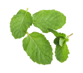 Peppermint transparent png