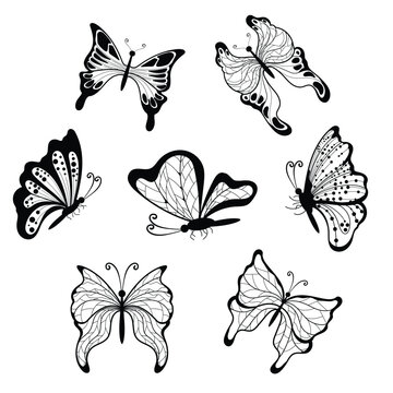 Set of butterflies silhouettes black and white. Butterfly icons isolatedPrint