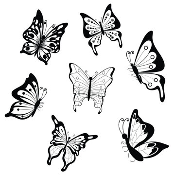 Set of butterflies silhouettes black and white. Butterfly icons isolated