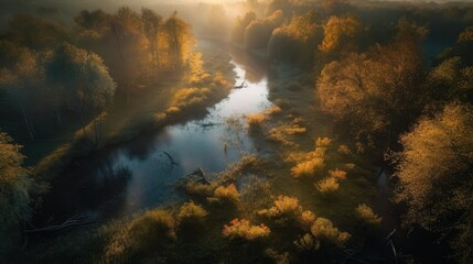 Naklejka na ściany i meble Immersive Landscape and Jungle with Rivers, Mountains, and Trees: Experience the Beauty of Nature | High-Quality Stock Image 