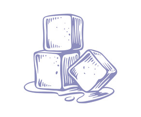 Ice cubes isolated drawing vector. Hand drawn