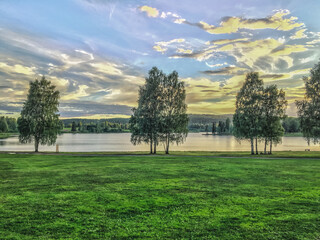 landscape with trees and lake
