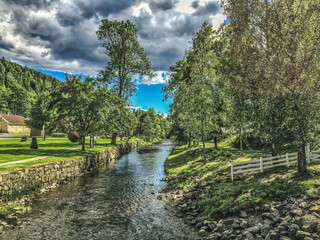 a river in a park with trees