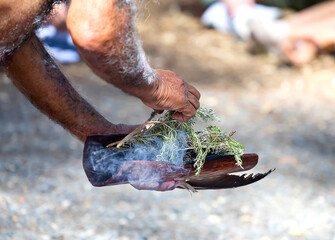 Obraz premium Human hands hold wooden dish with Australian plant branches, the smoke ritual rite at a indigenous community event in Australia