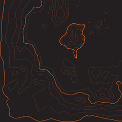 Stylized height topographic contour map in contours. Abstract background. Digital copy earth space. Concept of a conditional geography scheme, terrain path. Orange on Dark black. Vector illustration