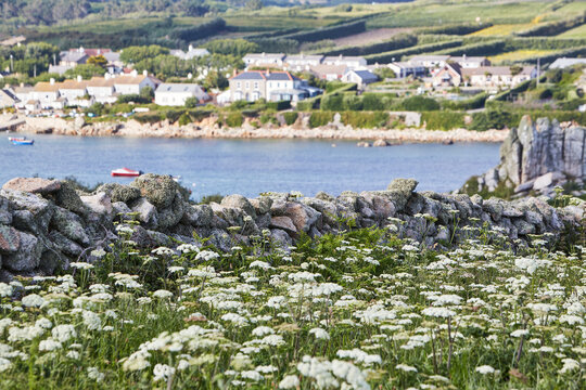 Deviding Imagens – Procure 162 fotos, vetores e vídeos | Adobe Stock