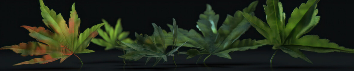 Canabis Leafs, Marijuana