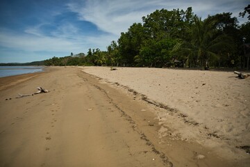 Wide sandy beach in Coron, Philippines, with palm trees and other trees growing densely along it.
