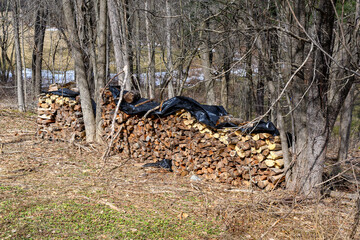 With this being the first day of spring this wood stacked will be dried and used for next year's heating.  Split and stacked firewood.  Trees are used to hold this stack of firewood in Windsor.