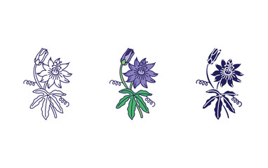 Passion flower vector icon