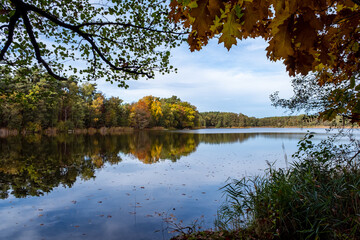 Fototapeta premium Natural landscape of the lake, high definition, the movement of waves against the background of the autumn forest. The reflection of clouds on the ripples of water. Germany.
