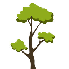 Tree Illustration