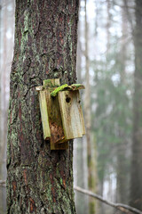 odl broekn bird house hanging on tree trunk