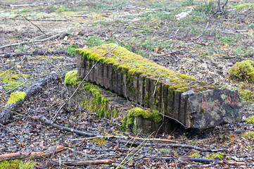 old quarry stone covered in green moss