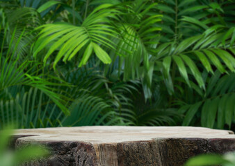 Wood tabletop counter podium floor in outdoors tropical garden forest blurred green palm leaf plant nature background.Natural product placement pedestal stand display,summer jungle paradise concept. © 52Ps.Studio