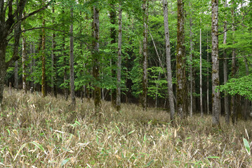 Climbing Mt. Keicho, Tochigi, Japan