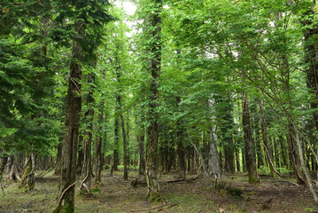 Climbing Mt. Keicho, Tochigi, Japan