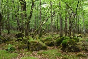 Climbing Mt. Keicho, Tochigi, Japan