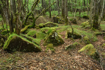 Climbing Mt. Keicho, Tochigi, Japan
