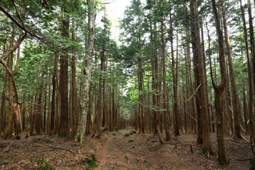 Climbing Mt. Keicho, Tochigi, Japan